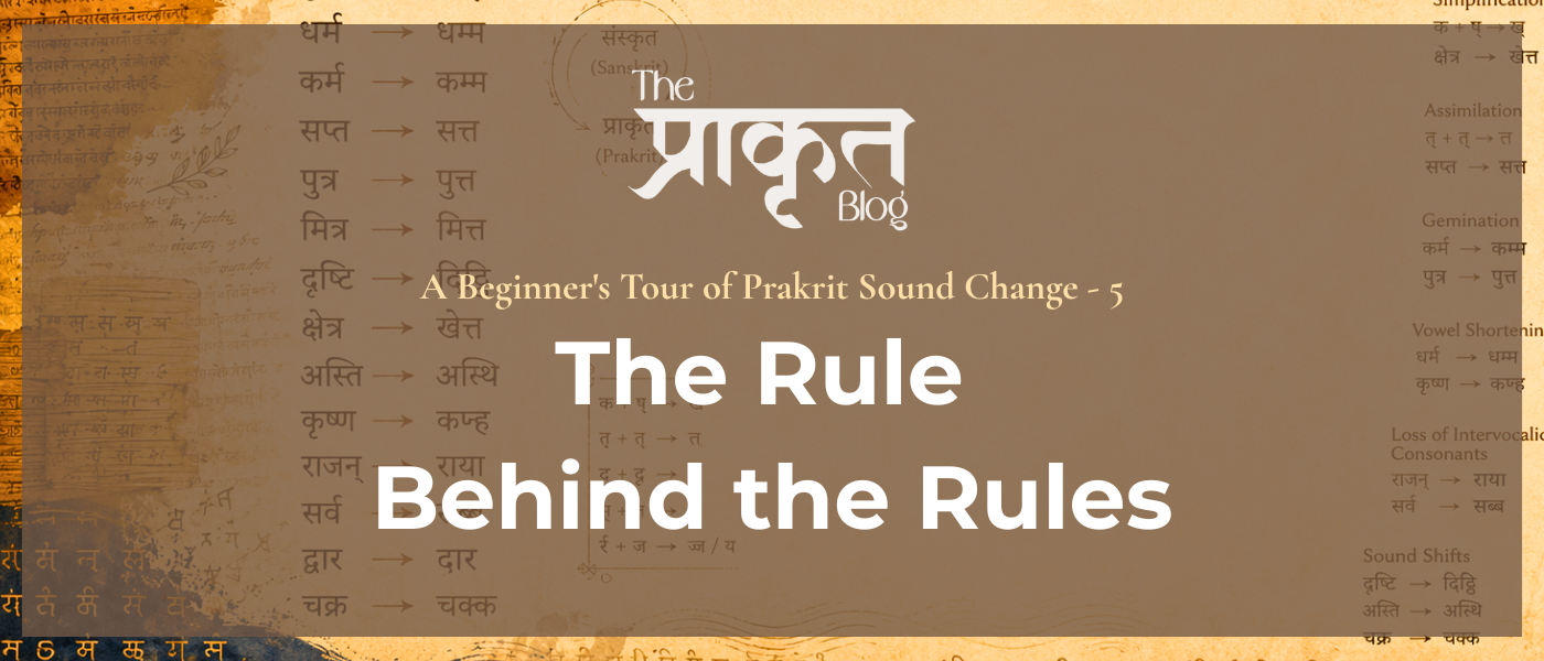 The Rule Behind the Rules